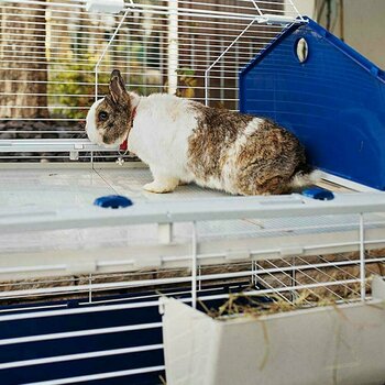 Kanin häkki Ferplast Barn Grey Cage for Rabbits Kanin häkki - 3