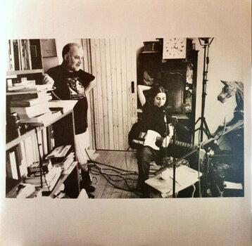 Грамофонна плоча PJ Harvey - The Peel Sessions 1991-2004 (Reissue) (LP) - 5
