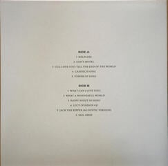 LP platňa Nick Cave & The Bad Seeds - B-sides & Rarities: Part I & II (7 LP) - 4