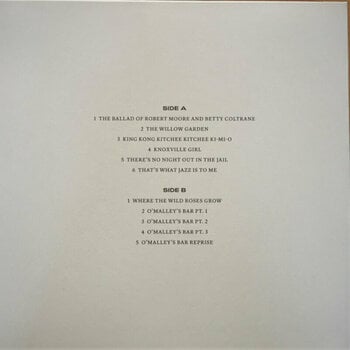 Vinyylilevy Nick Cave & The Bad Seeds - B-sides & Rarities: Part I & II (7 LP) - 7