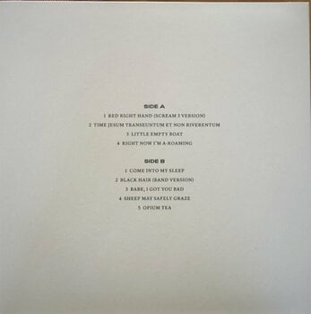 LP deska Nick Cave & The Bad Seeds - B-sides & Rarities: Part I & II (7 LP) - 9