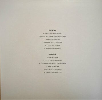Schallplatte Nick Cave & The Bad Seeds - B-sides & Rarities: Part I & II (7 LP) - 11
