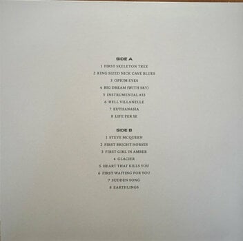 Vinylskiva Nick Cave & The Bad Seeds - B-sides & Rarities: Part I & II (7 LP) - 15
