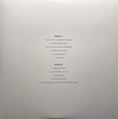 Disque vinyle Nick Cave & The Bad Seeds - B-sides & Rarities: Part I & II (2 LP) - 6