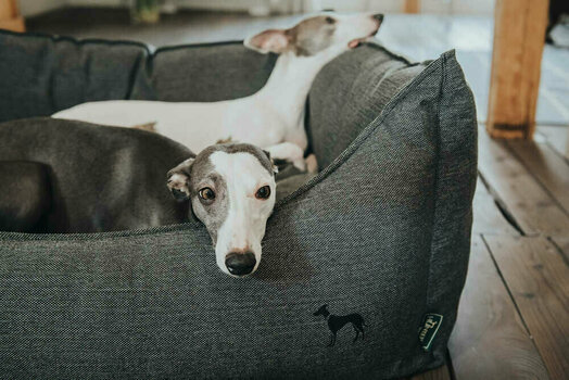 whippet snuggle sack