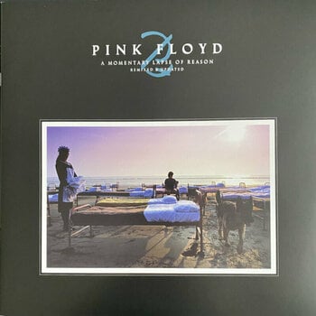 LP Pink Floyd - A Momentary Lapse Of Reason (Remastered) (2 LP) - 4