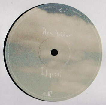 Vinyl Record Sigur Rós - Me? Su? I Eyrum Vi? Spilum Endalaust (2 LP) - 4