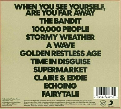 LP plošča Kings of Leon - When You See Yourself (2 LP) - 3