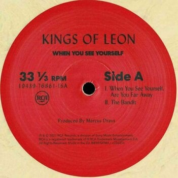 LP deska Kings of Leon - When You See Yourself (Indies) (2 LP) - 2