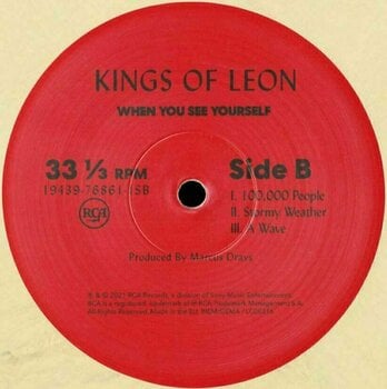 Vinyl Record Kings of Leon - When You See Yourself (Indies) (2 LP) - 3