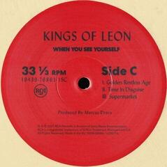 Грамофонна плоча Kings of Leon - When You See Yourself (Indies) (2 LP) - 3