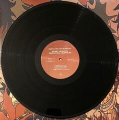 LP plošča Bring Me The Horizon - Post Human: Survival Horror (LP) - 2