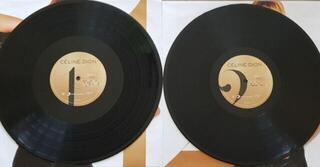 Schallplatte Celine Dion - Encore Un Soir (2 LP) - 1