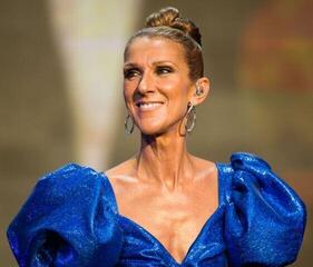 Schallplatte Celine Dion - Encore Un Soir (2 LP) - 3