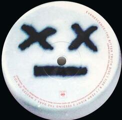 Hanglemez Evanescence - Bitter Truth (2 LP) - 2