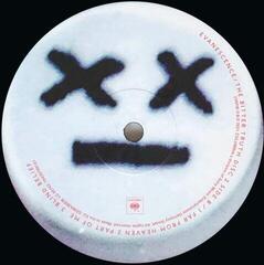 Hanglemez Evanescence - Bitter Truth (2 LP) - 5