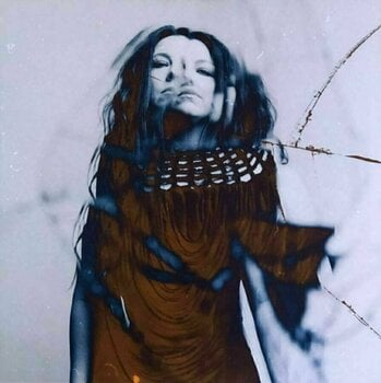 Hanglemez Evanescence - Bitter Truth (2 LP) - 6