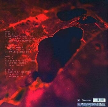 Vinyl Record Evanescence - Bitter Truth (2 LP) - 8