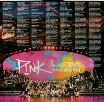 Disco de vinilo Pink - All I Know So Far: Setlist (2 LP) Disco de vinilo - 7
