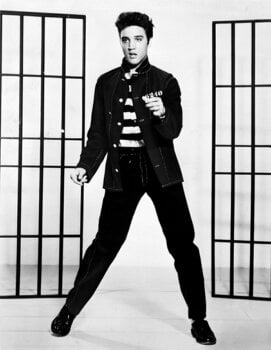 Schallplatte Elvis Presley - Back In Nashville (2 LP) - 3