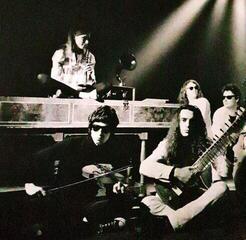 Грамофонна плоча Primal Scream - Demodelica (2 LP) - 5