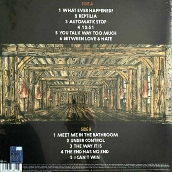 LP plošča Strokes - Room On Fire (LP) - 2