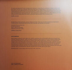 Δίσκος LP Lucie Bílá - Soukup - Bíla - Osvaldová (2 LP) - 5