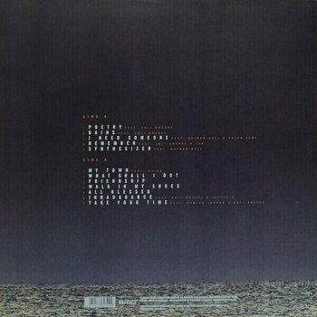 Disque vinyle Faithless - All Blessed (LP) - 6