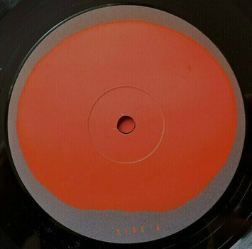 Vinylskiva Faithless - All Blessed (LP) - 3