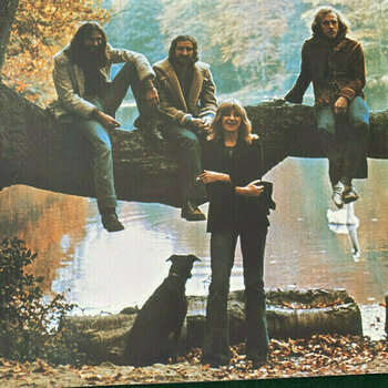 Vinyl Record Fleetwood Mac - Fleetwood Mac (1973-1974) (5 LP) - 15