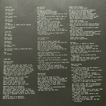 Disque vinyle Fleetwood Mac - Fleetwood Mac (1973-1974) (5 LP) - 16