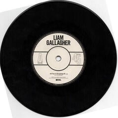Δίσκος LP Liam Gallagher - All You're Dreaming Of... (7" Vinyl) - 1