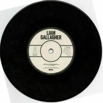 Vinyl Record Liam Gallagher - All You'Re Dreaming Of (LP) - 2