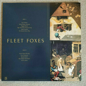 Disco in vinile Fleet Foxes - First Collection 2006-2009 (4 LP) - 5