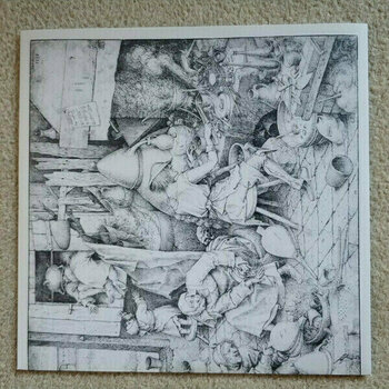 Disco in vinile Fleet Foxes - First Collection 2006-2009 (4 LP) - 9