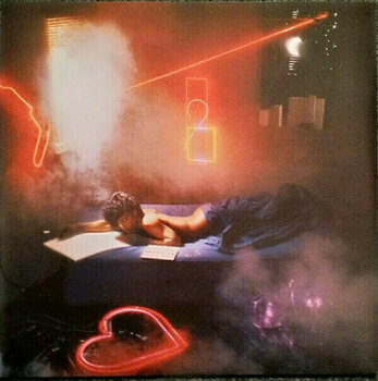 Vinyl Record Prince - 1999 (4 LP) - 13
