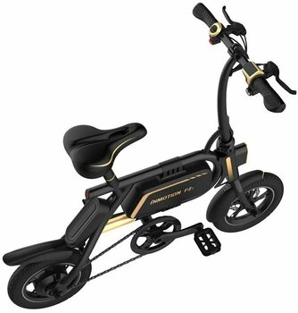 Inmotion P2F Black/Gold 2022 - Muziker