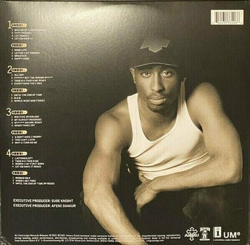 Vinyl Record 2Pac - Until The End Of Time (4 LP) - 3