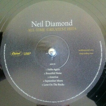 Vinyl Record Neil Diamond - All-Time Greatest Hits (2 LP) - 6