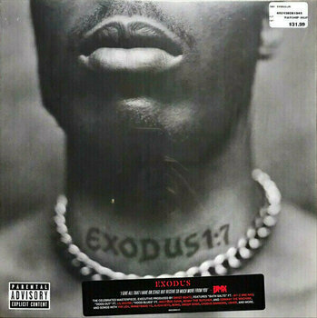 Vinyl Record DMX - Exodus (LP) - 4