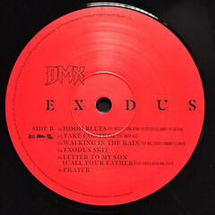 Vinilinė plokštelė DMX Exodus (LP) - 2