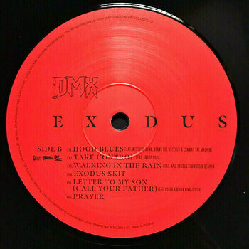 Vinyl Record DMX - Exodus (LP) - 3