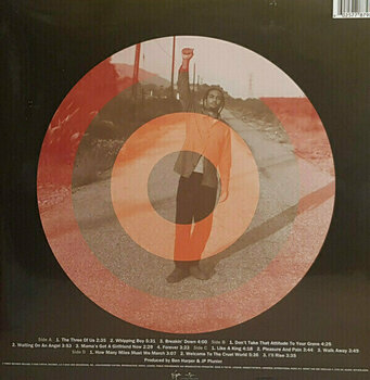 Vinylskiva Ben Harper - Welcome To The Cruel World (2 LP) - 2