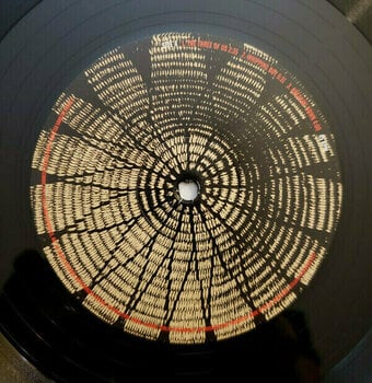 Vinyl Record Ben Harper - Welcome To The Cruel World (2 LP) - 3