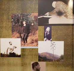 LP ploča Ben Harper - Welcome To The Cruel World (2 LP) - 3