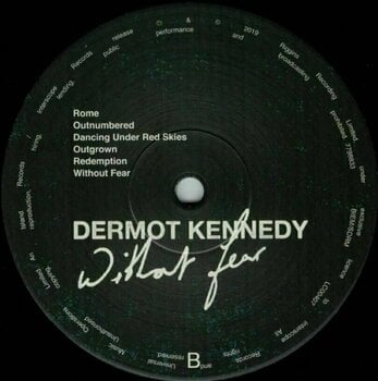 Vinyl Record Dermot Kennedy - Without Fear (LP) - 3