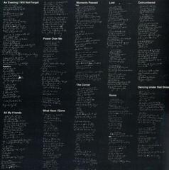 LP ploča Dermot Kennedy - Without Fear (LP) - 3