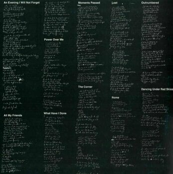 Vinyl Record Dermot Kennedy - Without Fear (LP) - 4