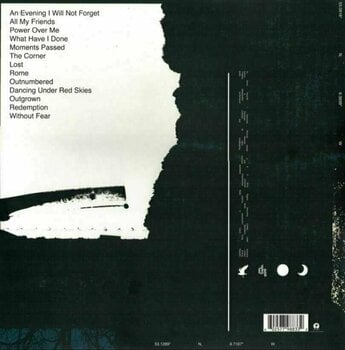 Vinyl Record Dermot Kennedy - Without Fear (LP) - 8