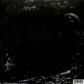 Disque vinyle Lady Gaga - Chromatica (Deluxe Edition) (LP) - 5
